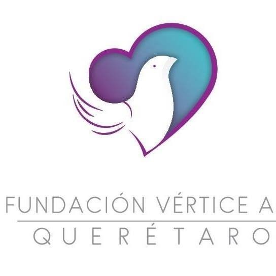 Fundación Vértice vs el rezago educativo