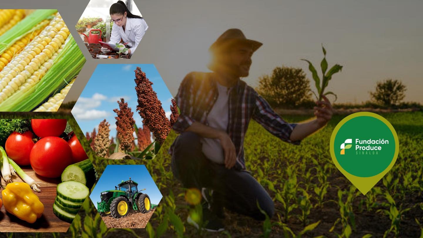 Desde Sinaloa; impulsan la Innovación Agrícola