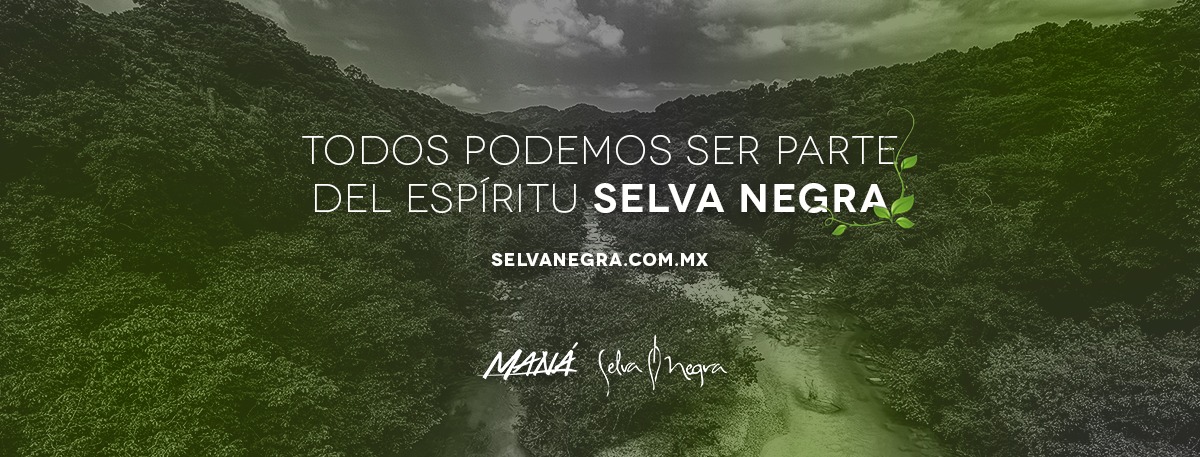 Fundación Ecológica Selva Negra: Cambiando la relación con el planeta